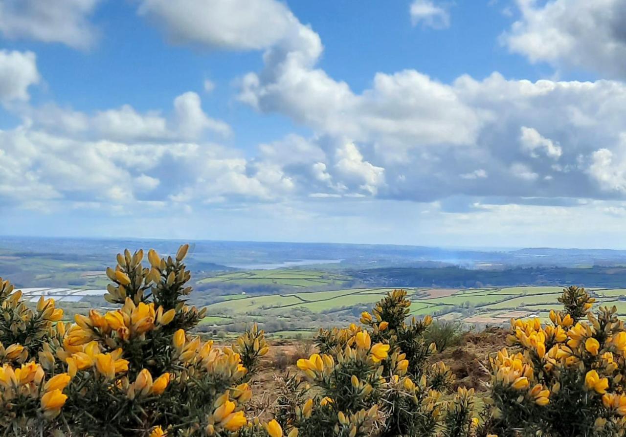 Summit Camping Kit Hill Cornwall Panoramic Views Grass Pitch From 15Pn Or Bella Bell Tent 75Pn Callington Zewnętrze zdjęcie