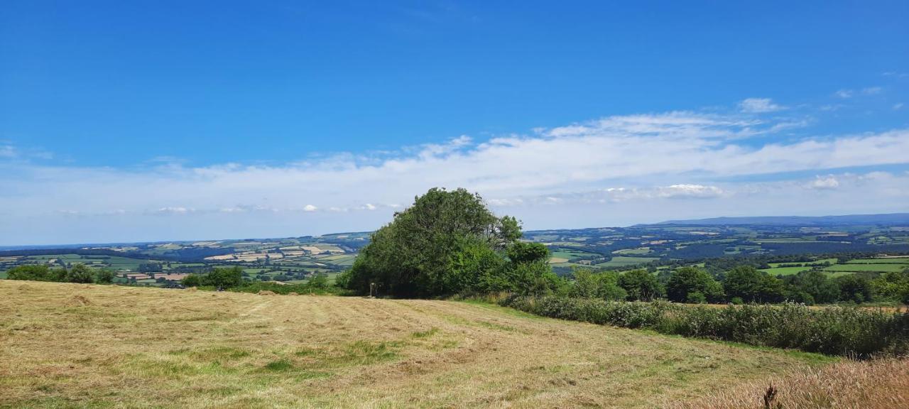 Summit Camping Kit Hill Cornwall Panoramic Views Grass Pitch From 15Pn Or Bella Bell Tent 75Pn Callington Zewnętrze zdjęcie
